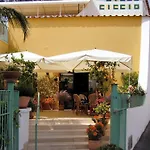 호텔 Ciccio 3*