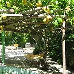 Hotell Ciccio Ischia