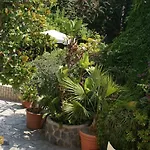 Ciccio Ischia