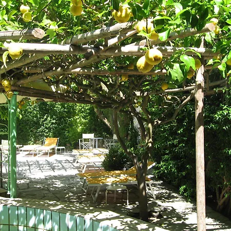 Hotel Ciccio Ísquia