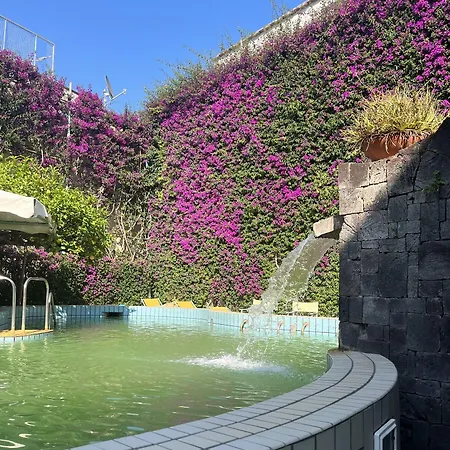 Hotel Ciccio Ísquia
