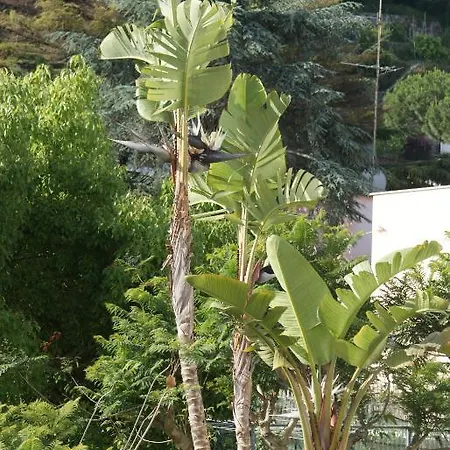 Ciccio Отель 3*