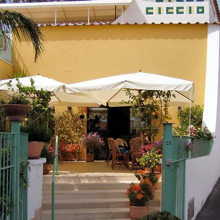 ホテル Ciccio 3*