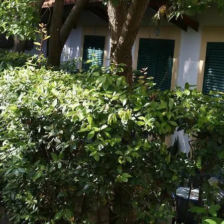 Ciccio ホテル